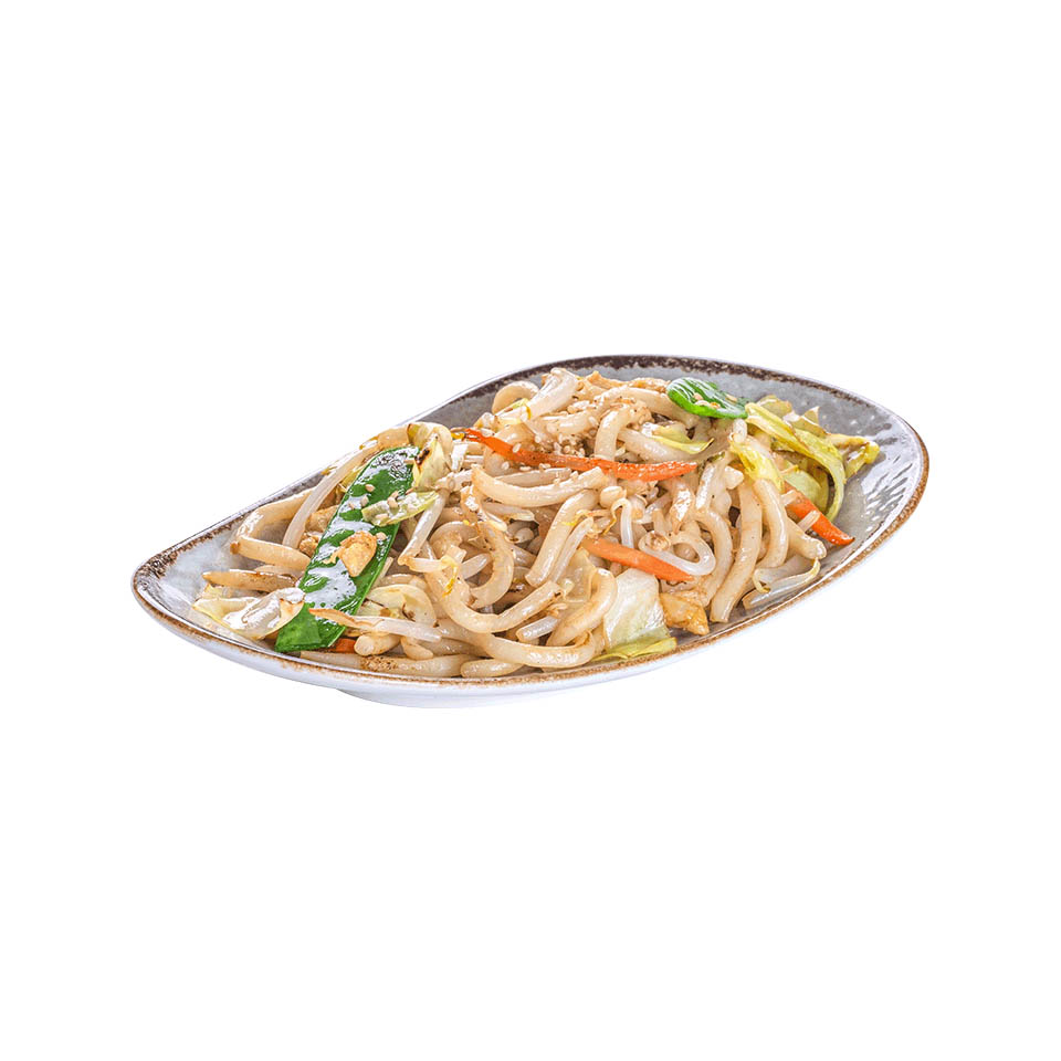 Udon Noodles
